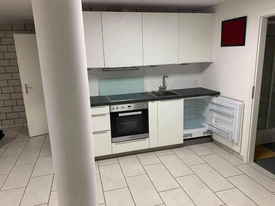 Basel - 5 Mins Away - Modern Basement Studio With Kitchen 35M2 In Muttenz Eksteriør billede