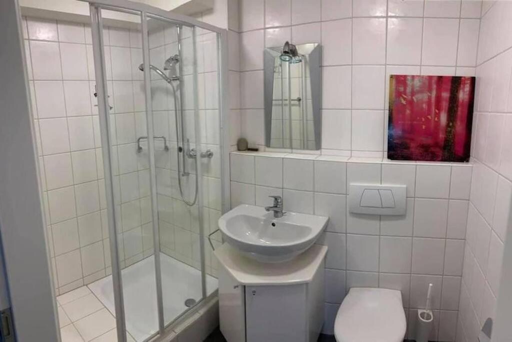 Basel - 5 Mins Away - Modern Basement Studio With Kitchen 35M2 In Muttenz Eksteriør billede