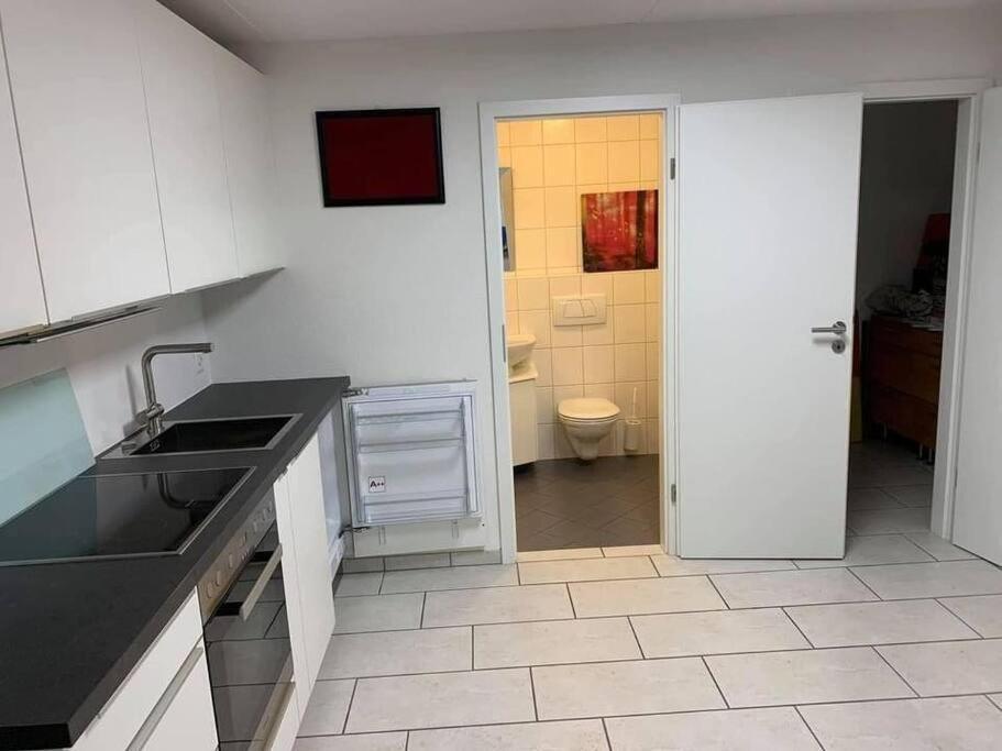 Basel - 5 Mins Away - Modern Basement Studio With Kitchen 35M2 In Muttenz Eksteriør billede